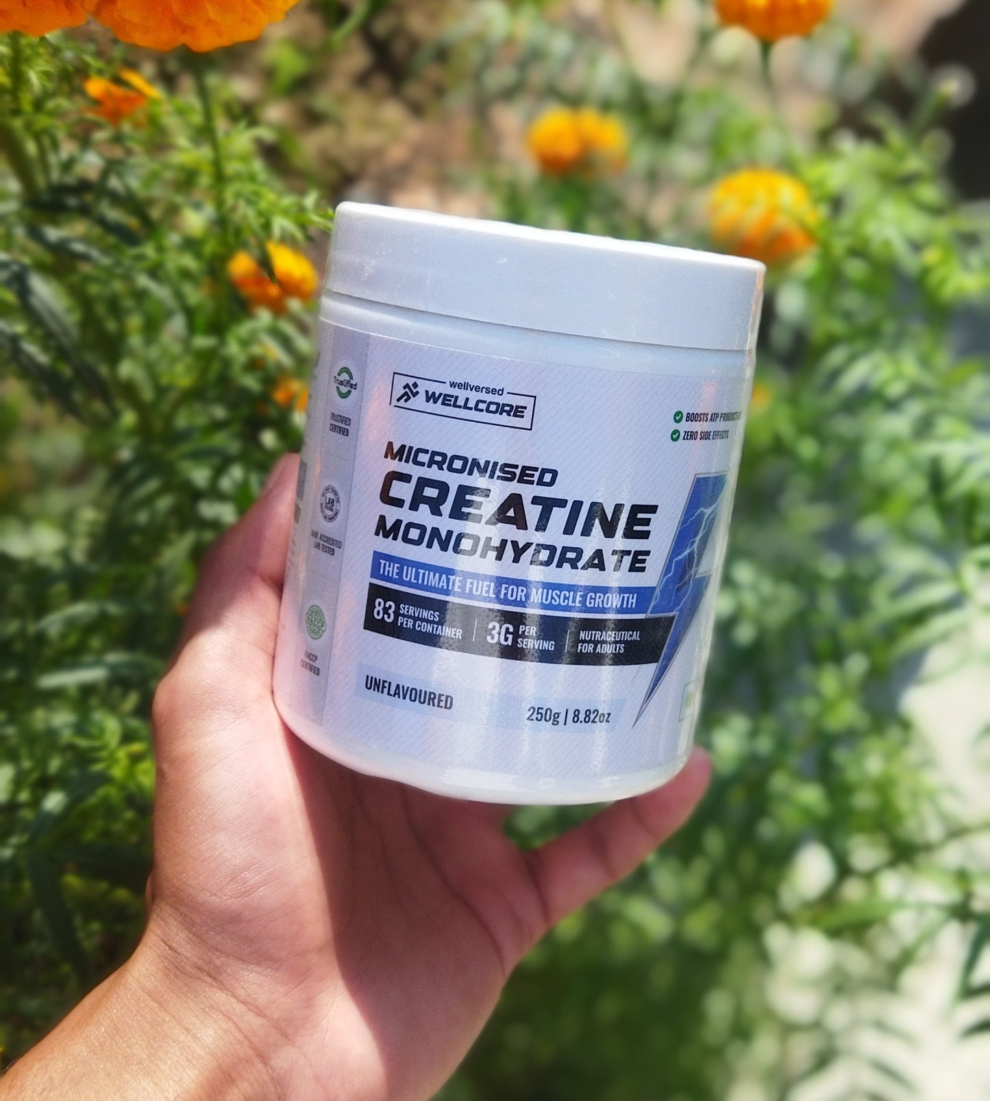 Wellcore - Micronised Creatine Monohydrate